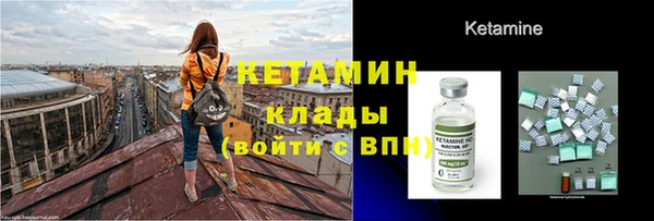 ПСИЛОЦИБИНОВЫЕ ГРИБЫ Богданович
