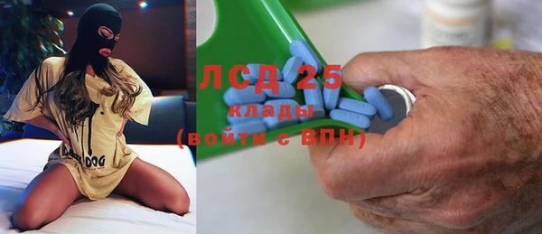 ПСИЛОЦИБИНОВЫЕ ГРИБЫ Богданович