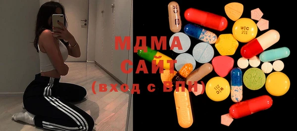 ПСИЛОЦИБИНОВЫЕ ГРИБЫ Богданович