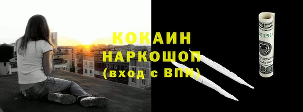 ПСИЛОЦИБИНОВЫЕ ГРИБЫ Богданович