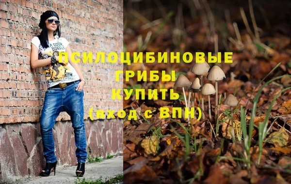 не бодяженный Богородицк