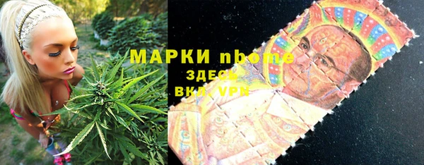 ПСИЛОЦИБИНОВЫЕ ГРИБЫ Богданович