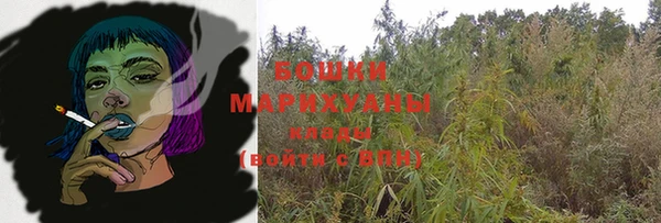 ПСИЛОЦИБИНОВЫЕ ГРИБЫ Богданович
