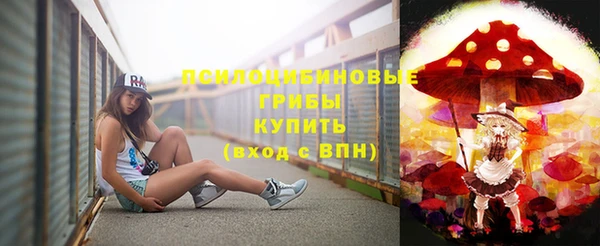 ПСИЛОЦИБИНОВЫЕ ГРИБЫ Богданович