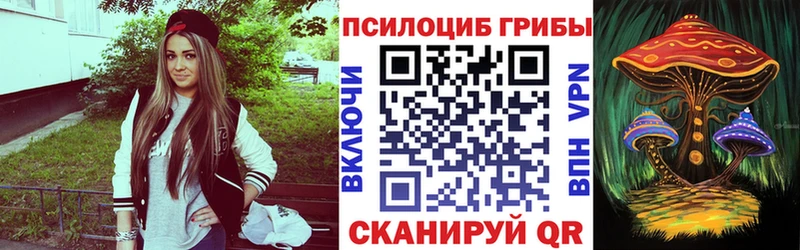 Псилоцибиновые грибы MAGIC MUSHROOMS  где купить наркоту  hydra вход  Северодвинск 